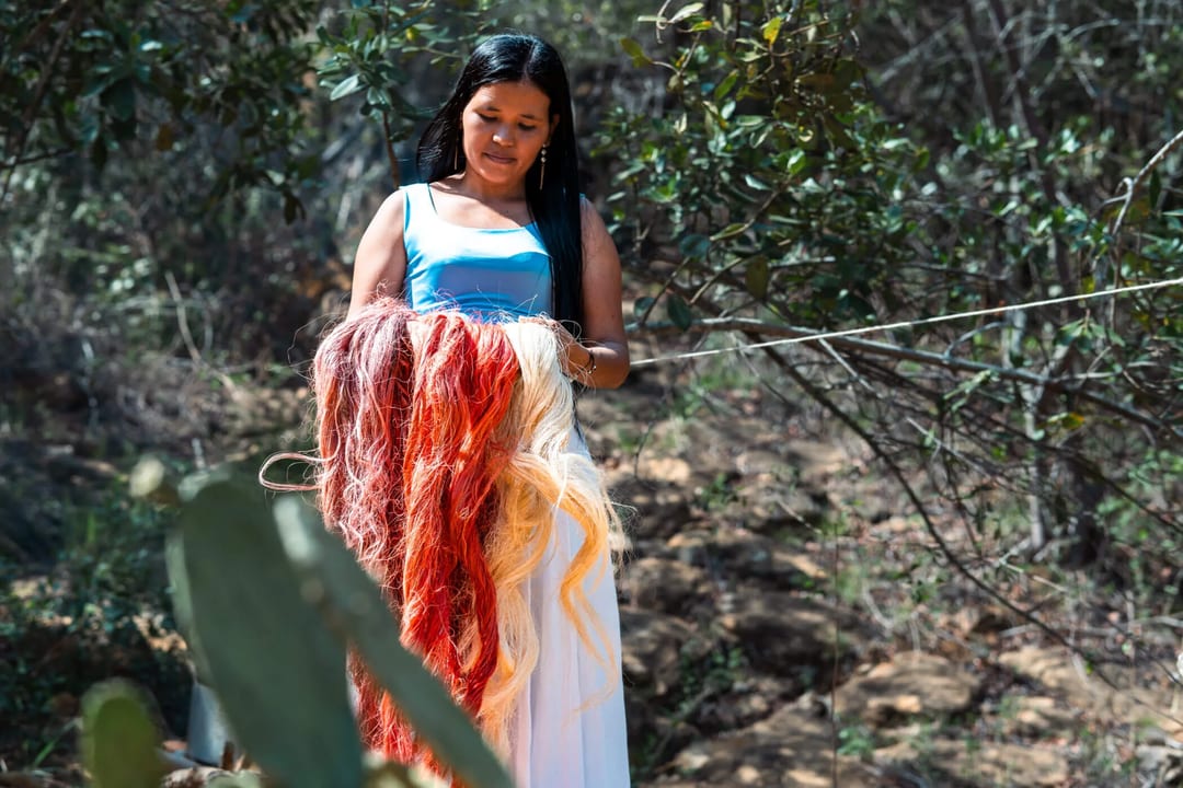A woman in a blue and white dress carries skeins of red and cream dyed fibre along a line strung between trees.