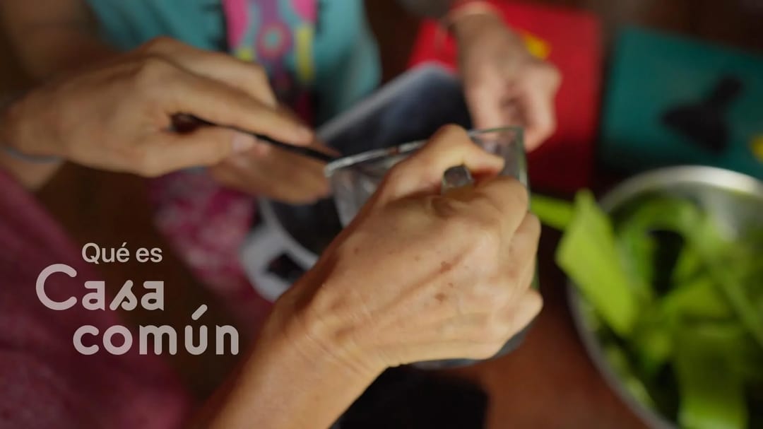 Preparación de alimentos para Casa Común, con el texto "Qué es Casa Común".