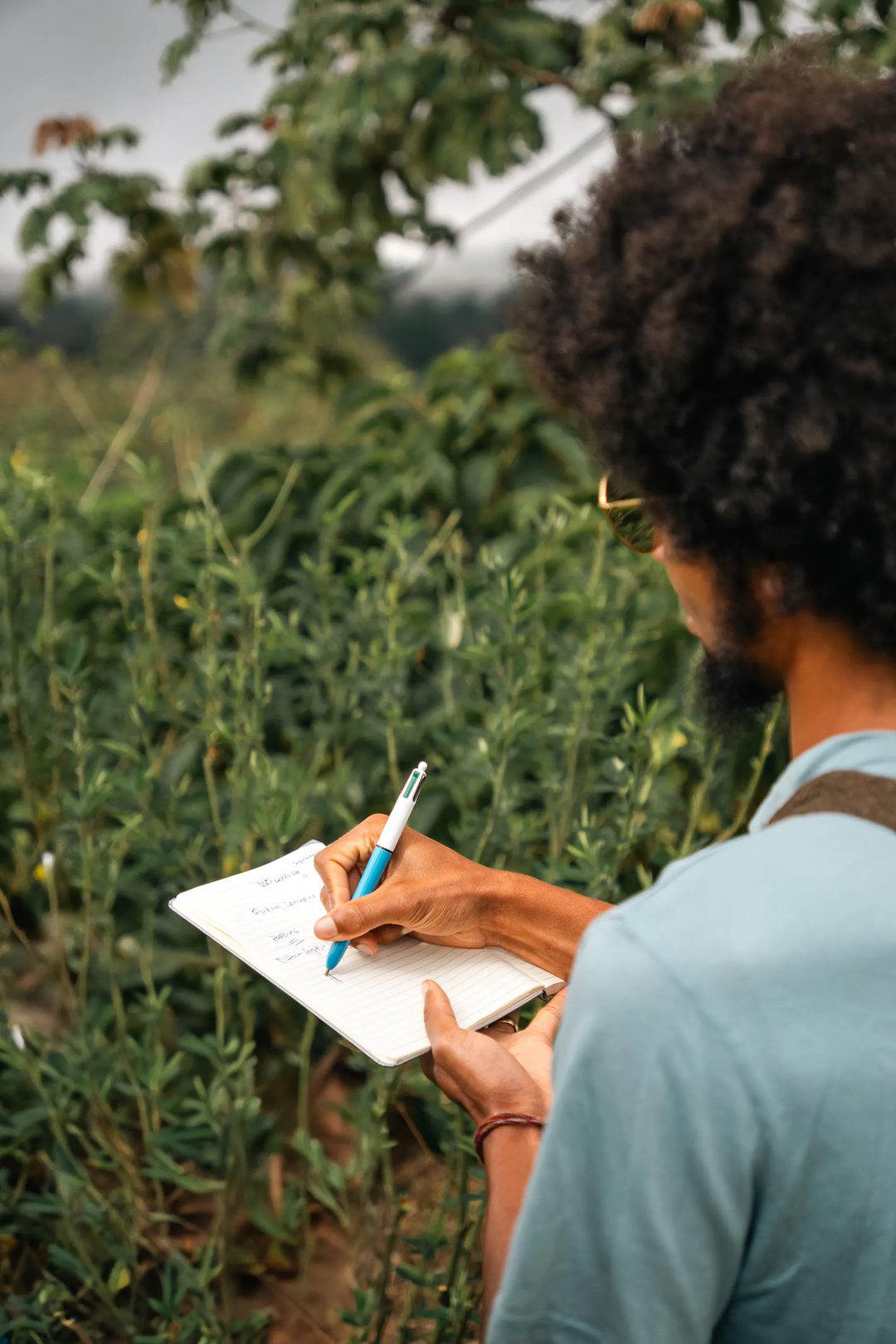 A participant writes in a notebook during a field activity among crops.