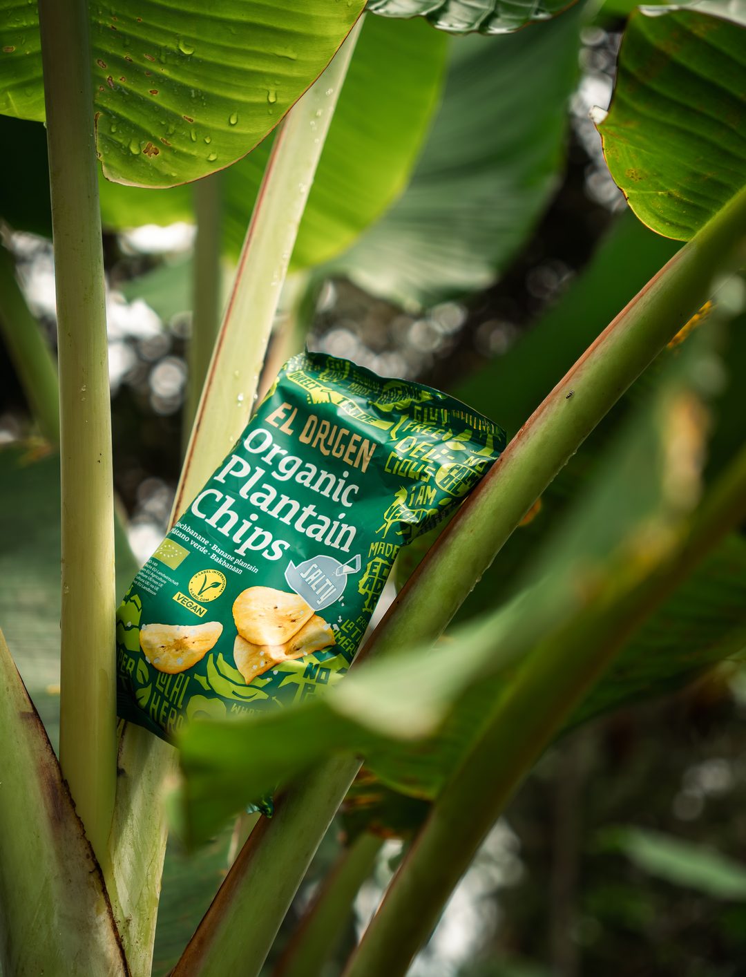 A packet of El Origen Organic Plantain Chips rests in the crook of a plantain plant's stems, surrounded by broad green leaves.