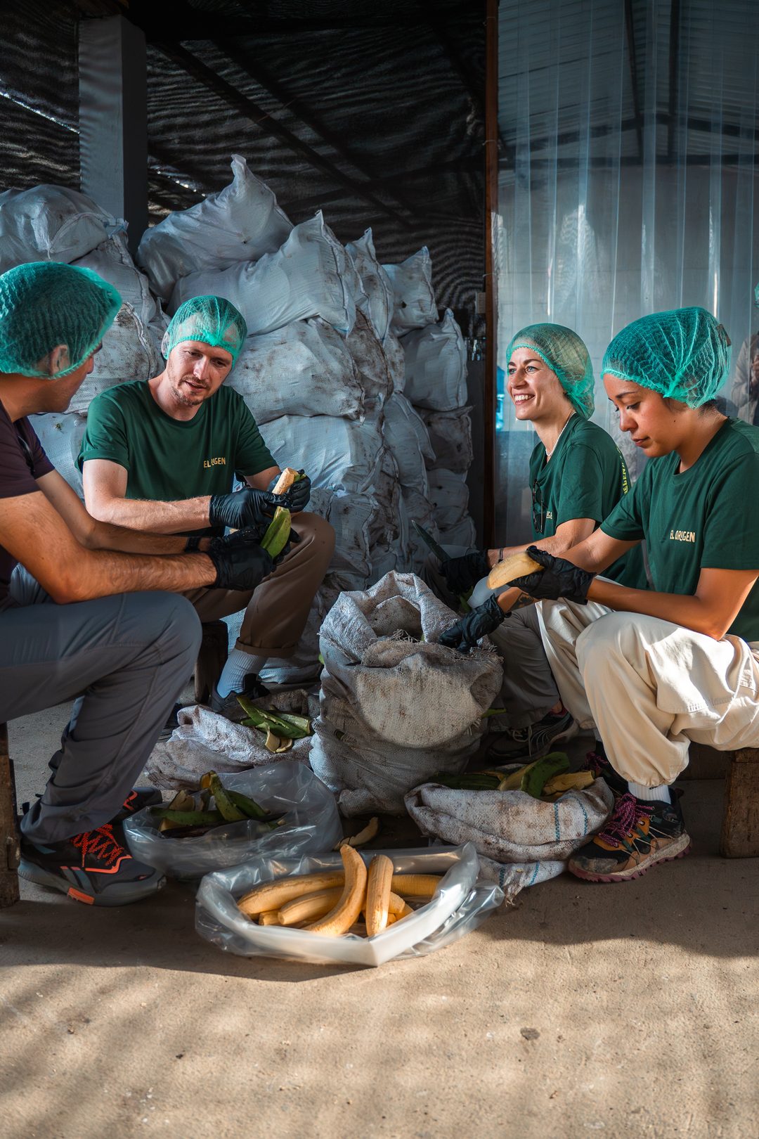 Four people in green T-shirts and hairnets sit talking on low seats, trimming plantains among white sacks and open bags.