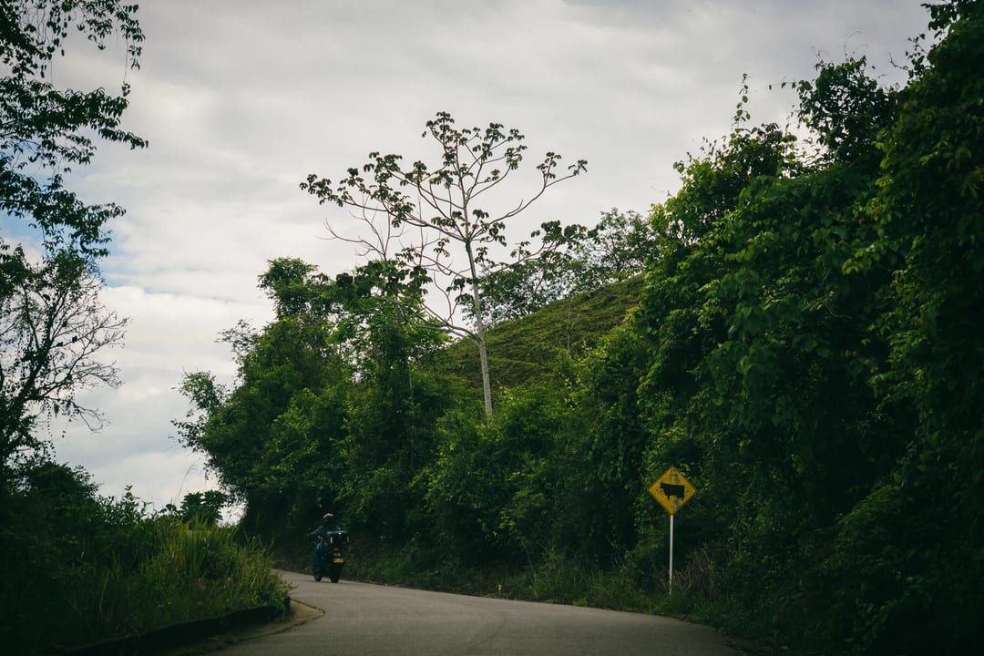 Motorcycle on road, cow crossing sign, lush greenery. El Páramo trip.