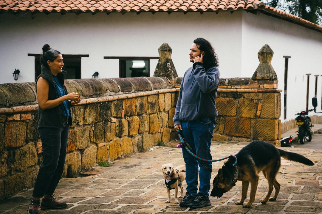 People with dogs stand on a stone path by a white building with a tile roof.