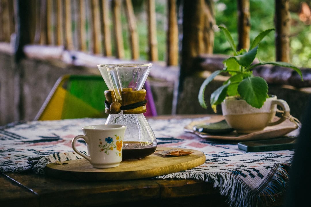 Pour-over coffee setup with cup, plant, and patterned tablecloth.